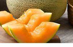 哈蜜瓜的功效与作用 哈密瓜的食用方式和注意事项