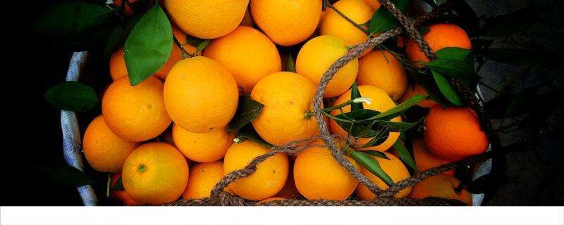 每天吃一个橙子有什么好处 一天吃几个橙子最好