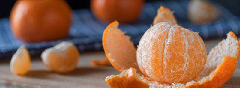 橘子和柿子可以一起吃吗 橘子和柿子隔多久吃