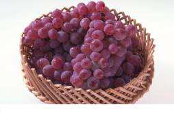 葡萄是酸性还是碱性 葡萄是酸性还是碱性百度百科