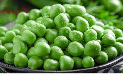 减肥期间可以吃豌豆吗 豌豆的热量高吗