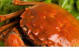 吃完苹果能吃螃蟹吗 饮料和螃蟹能一起吃吗