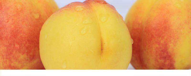 晚上吃黄桃会不会长胖 黄桃软的好吃硬的好吃