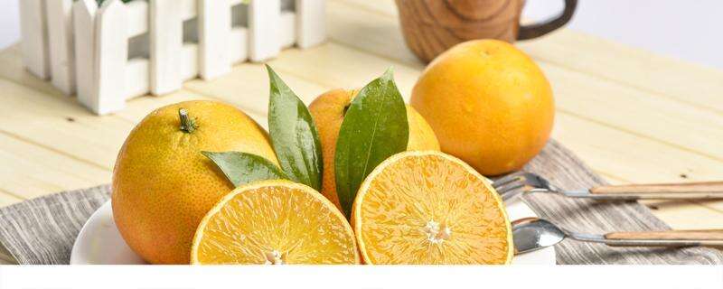 橙子煮水加蜂蜜喝有什么作用 橙子煮水为什么会苦