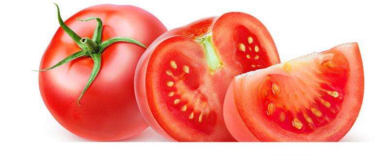 西红柿怎么挑新鲜 西红柿有什么功效