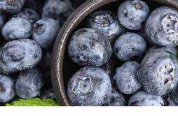 蓝莓是不是越大越好 蓝莓吃了有哪些好处