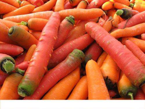 糖尿病能吃胡萝卜吗