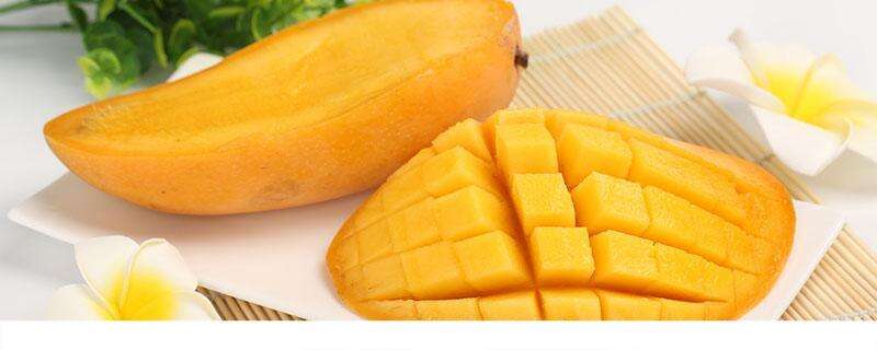 减肥期间可以吃芒果吗 芒果是增肥还是减肥