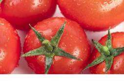 吃一个月西红柿变白了 连续吃一个月西红柿会怎么样