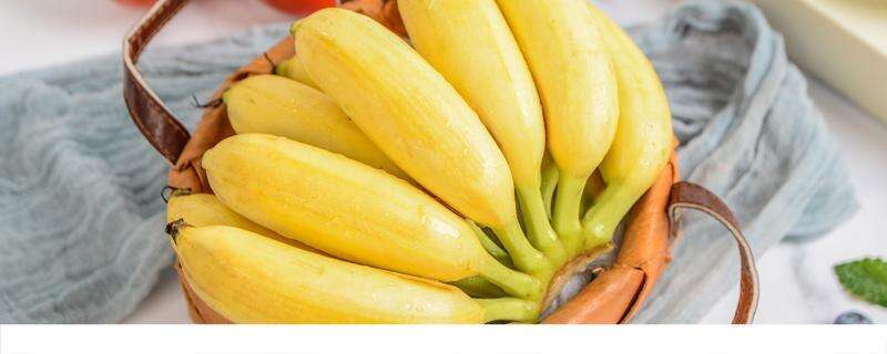 香蕉酸奶减肥法怎么吃 香蕉酸奶减肥法三天能瘦多少