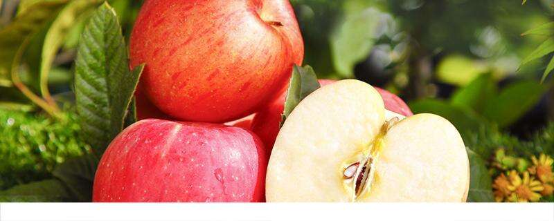感冒咳嗽可以吃苹果吗 感冒适合吃什么水果