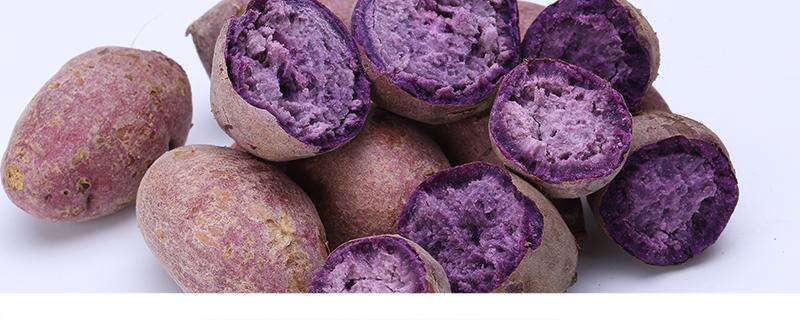 紫薯热量高还是红薯 紫薯和红薯哪个更减肥