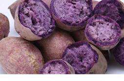 紫薯热量高还是红薯 紫薯和红薯哪个更减肥