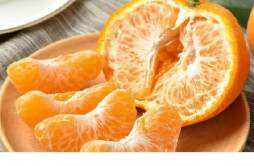 橘子和桔子有什么区别 橘子和柑子是同一种水果吗