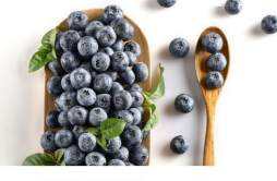 蓝莓可以跟苹果榨汁吗 苹果和蓝莓哪个营养高