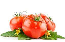 番茄7种搭配更营养 蕃茄搭配什么最营养