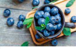 蓝莓每天吃几个合适 蓝莓可以多吃吗