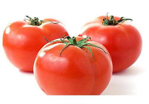 吃番茄有什么好处 吃番茄好处多注意事项也不少