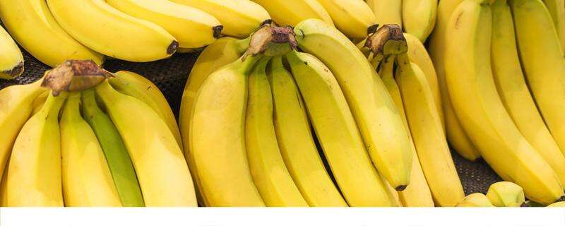 香蕉减肥法管用吗 香蕉减肥的正确吃法