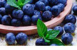 减肥期间可以吃蓝莓吗 蓝莓的热量高吗