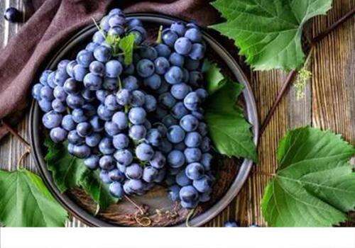 经常吃葡萄有什么好处 葡萄的适用人群与禁忌人群