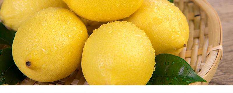 柠檬枸杞可以一起泡吗 柠檬枸杞一起有什么功效