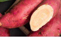 红薯皮发黑可以吃吗 红薯和什么搭配吃最好