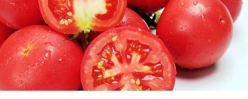 吃番茄有什么好处 番茄生吃好还是熟吃好