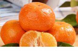 砂糖橘子是热性还是凉性 女人必吃的暖宫水果有哪些