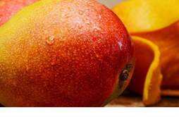 芒果一天吃五六个会怎么样 芒果能空腹吃吗
