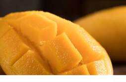 婴儿能吃芒果吗 芒果吃多了会怎样