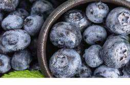 蓝莓干和新鲜蓝莓功效一样吗 蓝莓干吃了会发胖吗
