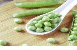 新鲜豌豆怎么保存 豌豆可以放冰箱冷藏吗