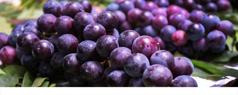 葡萄跟什么不能同食 吃葡萄要不要吃葡萄皮