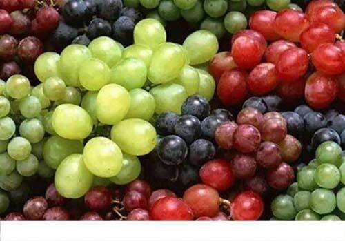 葡萄和什么搭配好 葡萄不能和什么一起吃