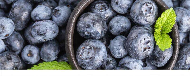 蓝莓花青素在皮上吗 蓝莓一天吃多少为宜