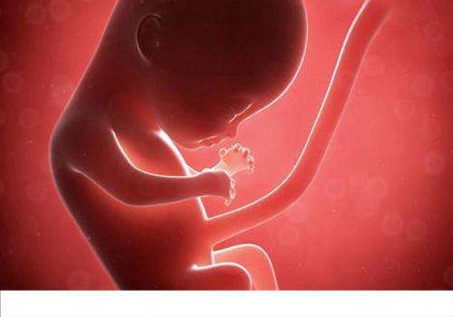 怀孕期间发烧对胎儿有影响吗 怀孕了发烧对胎儿有没有影响