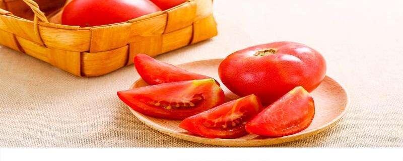 西红柿可以增强免疫力吗 西红柿和什么一起吃好又营养