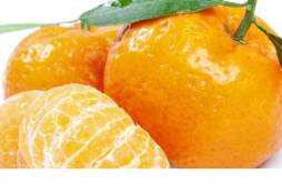 橘子太酸了怎么处理 怎样把橘子催熟变甜