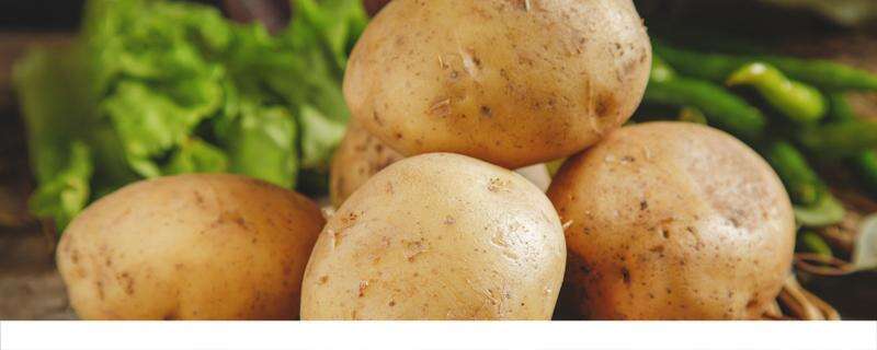土豆要蒸多久才熟 土豆没蒸熟吃了会中毒吗
