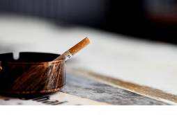 抽烟喝什么茶清肺排毒 停止吸烟肺会变干净吗