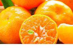 橘子可以放冰箱里保存吗 橘子放冰箱能放多久