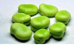 蚕豆是酸性还是碱性 蚕豆是碱性吗