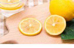 柠檬和菊花能泡在一起吗 柠檬和菊花泡在一起可以减肥吗