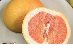 葡萄柚和西柚是一种水果吗 葡萄柚是苦的吗