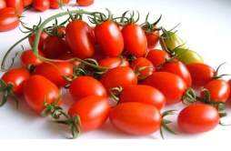 小番茄的功效与作用 小番茄的功效与作用禁忌