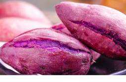 紫薯和萝卜能同时吃吗 紫薯不能和什么一起吃