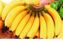 胃胀气可以吃香蕉吗 胃胀气能不能吃香蕉