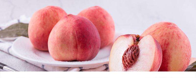 桃子和苹果哪个更适合减肥 桃子和苹果哪个热量高