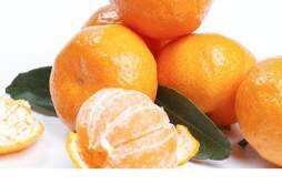 为什么刷牙后吃橘子是苦的 刷完牙吃橘子好吗